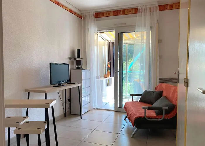 Lejlighed Agreable T2 Climatise Avec Loggia, Parking, Et Wifi A - Fr-1-553-250 *